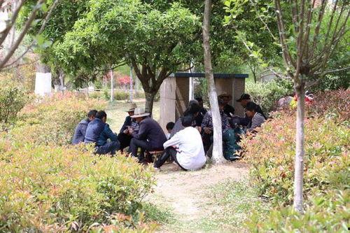 威宁动态爆料最新消息,揭秘事件背后真相  第2张