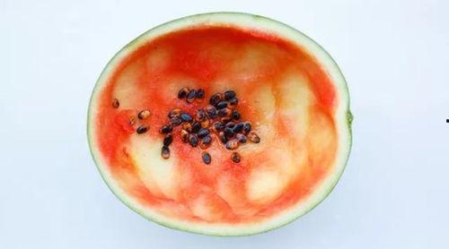 网红勺子爆款吃瓜,揭秘网络红人的爆红之路 第2张 网红勺子爆款吃瓜,揭秘网络红人的爆红之路 第2张