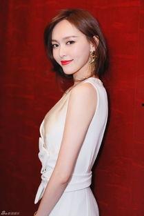 老周爆料丹丹视频大全,丹丹视频大全背后的精彩故事